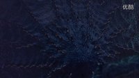 别惹蚂蚁片段1