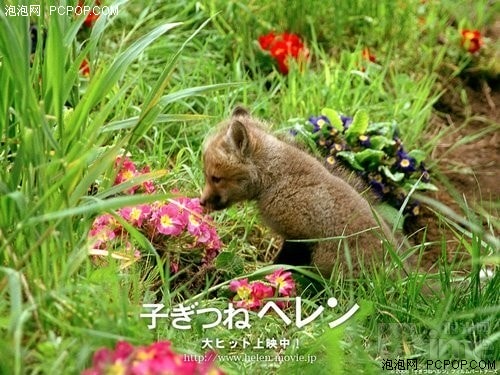http://www.mshishang.net/pics/default/download/f8272d1474f2c9d7048f723c6f9d8e6f.jpg