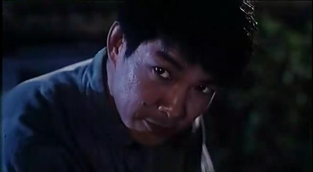 http://www.mshishang.net/pics/default/download/f95f7fedd5e3a46a432280b53e1fde55.jpg