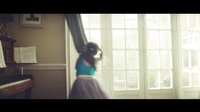 《飞燕舞者》John Lewis Home Insurance Advert 2015 - Tiny Dancer