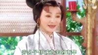 越剧《蝴蝶梦》劳公子怀诚意亲到南华-王志平原唱