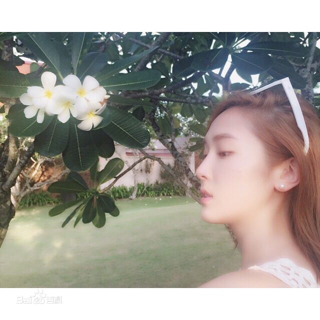 郑秀妍 jessica.syj 18