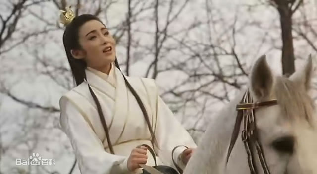 张敏 1993年《倚天屠龙记之魔教教主》饰演赵敏