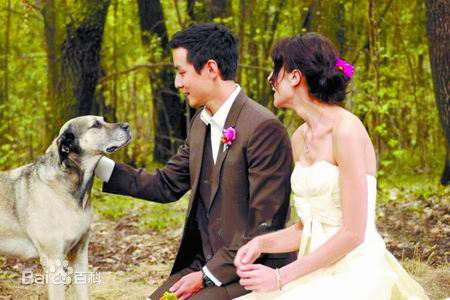 http://www.mshishang.net/pics/star/pic/1b15a679054f1a92c63d241514e9fa14.jpg