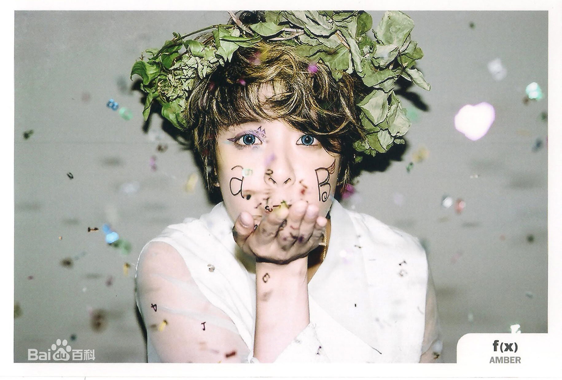 f(x) Amber 9