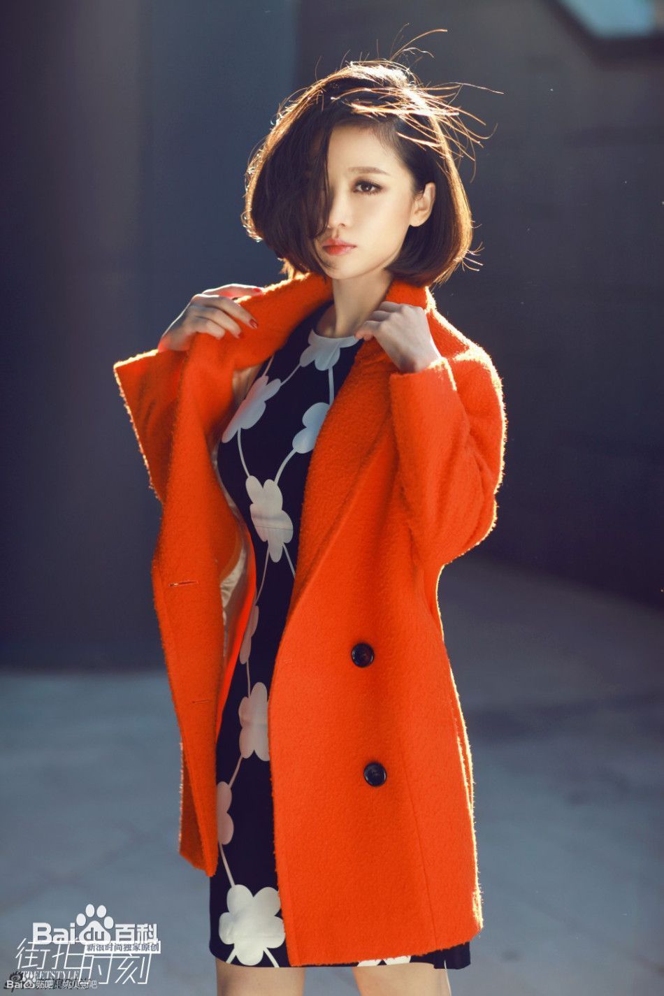 http://www.mshishang.net/pics/star/pic/6ec172775741eacb981fed40c9a8157b.jpg