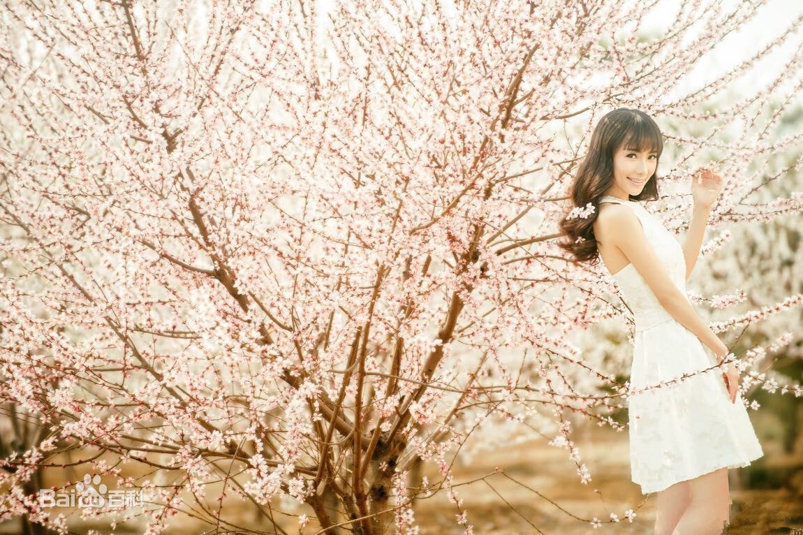 http://www.mshishang.net/pics/star/pic/8368760bf47e6c991275b2a180dd656d.jpg