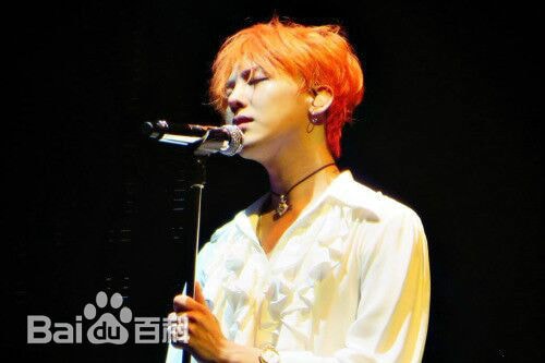 G-DRAGON 演唱会图片 20