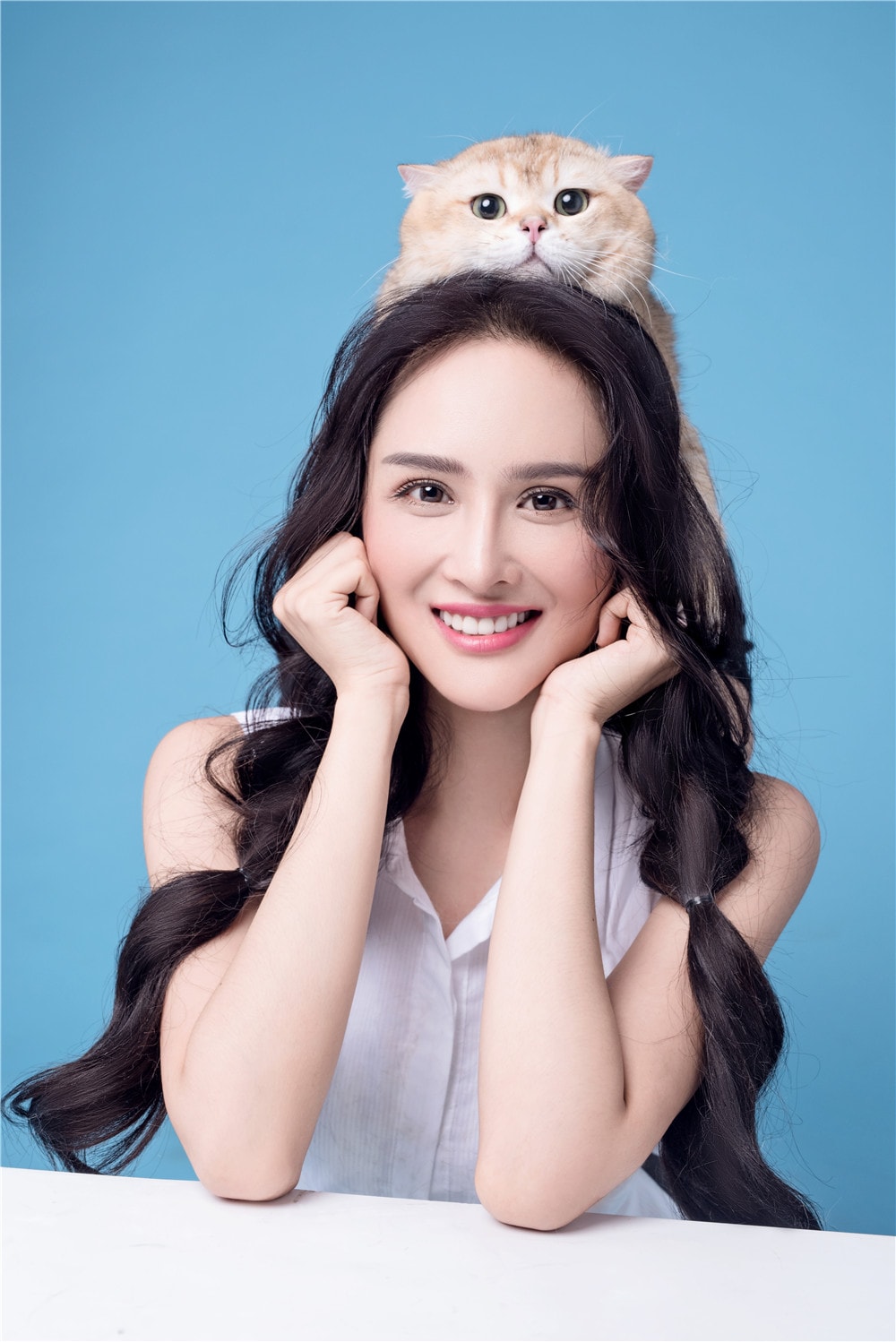 赵悦童 猫咪