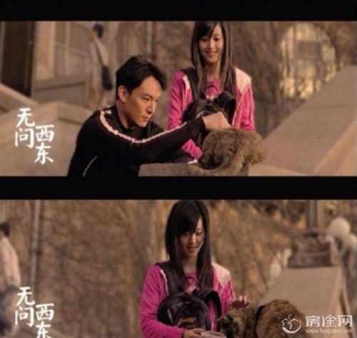 章泽天客串出演无问西东当时19岁 章子怡这样评价奶茶妹妹的演技 