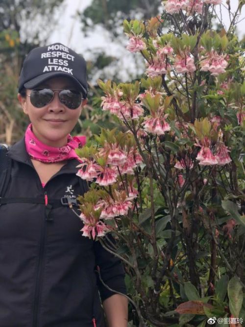 刘嘉玲又去爬山了！戴红丝巾气色超好 
