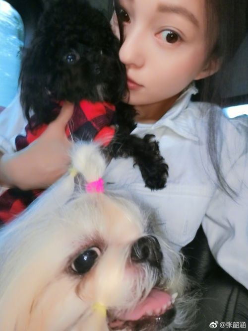 张韶涵发文“黑白狗别乱叫”疑一语双关 陈建州发文力护妻 