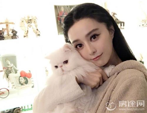 范冰冰光腿穿皮裙 膝盖ok绷竟成亮点揭带货女王功力 