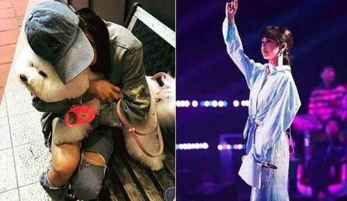 蔡依林晒美照破洞裤露大腿 画面十分的有爱 