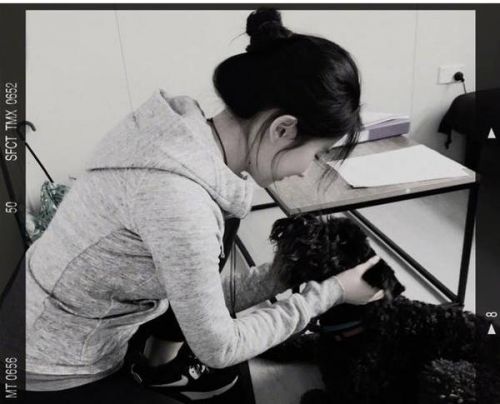 刘亦菲穿运动服与狗狗玩耍 秀纤细玉颈侧颜吸睛 