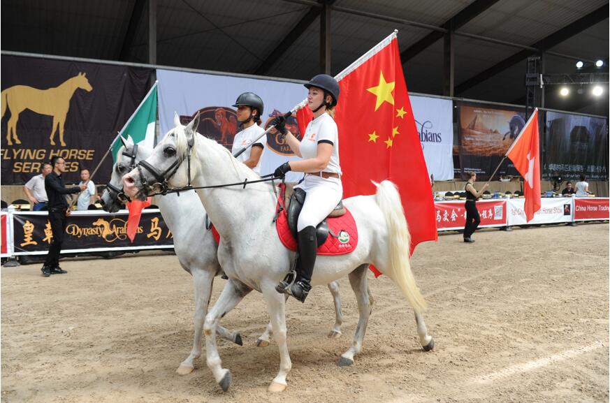 “阿拉伯马秀中国 丝绸之路通天下” 中国首届阿拉伯马大赛在京成功举办 
