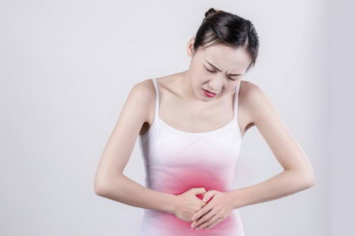 和肠胃敏感say no，告别夏季湿热从敏家开始