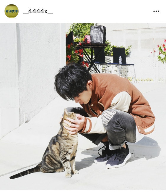易烊千玺逗猫