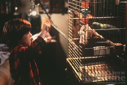 http://www.mshishang.net/pics/default/download/12f0e1f36c104669e74ca5df92281850.jpg
