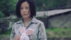 赵薇 特辑