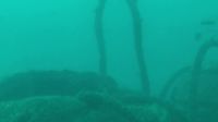 海底2