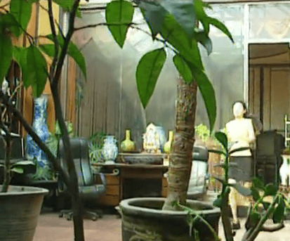http://www.mshishang.net/pics/default/download/1c2af06187e1cd4df8008aed2dad6c3d.jpg