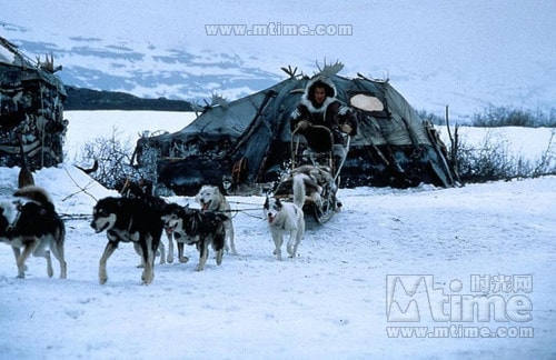 http://www.mshishang.net/pics/default/download/1d58333c898da7d72eca5fe128294bcf.jpg