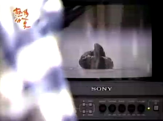http://www.mshishang.net/pics/default/download/1fc461c2e2417f35592141a257094b3c.jpg