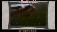 钱琳 穿越霓虹 电视剧《霓虹灯下的哨兵》主题曲