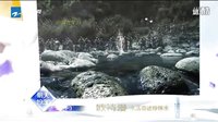 金战第1-3集   预告【浙江版】
