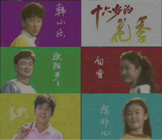 十六岁的花季剧照