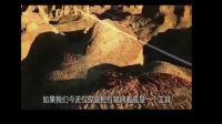 世界互联网大会地球村时代真正到来