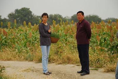 http://www.mshishang.net/pics/default/download/2f0a744ab58a480799309b9fc46a2eae.jpg