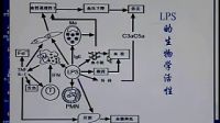 医学微生物学5  遗传与变异_标清