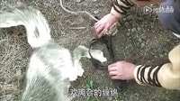 活佛济公3第01集陈亮百灵感人爱情