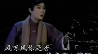 啼笑因缘-我定要唤得爱归人亦醒