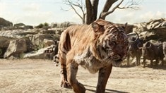 片段之Intro to Shere Khan