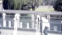 爱情从告白开始