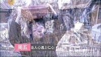 山东影视《当人心遇上仁心》宣传片香木虎版