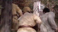 电视剧《姥爷的抗战》25-34动作粗剪