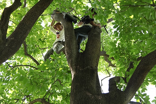 http://www.mshishang.net/pics/default/download/5aab7f66607b491acb7f375218048a6b.jpg