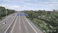 病毒视频