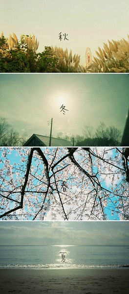 http://www.mshishang.net/pics/default/download/5ec687541dc4238453d842e61ac26bcf.jpg