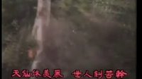 八仙过海（ATV亚视  85版）_标清