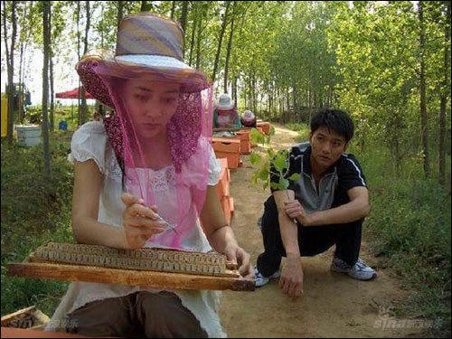 电视剧石榴花开剧组照