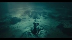 片头