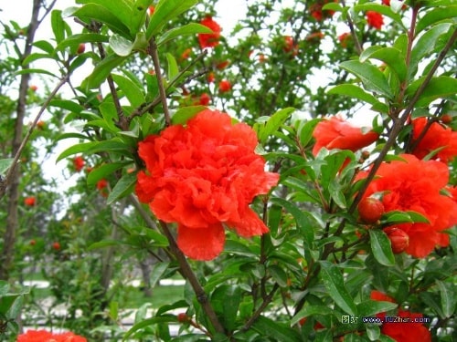 http://www.mshishang.net/pics/default/download/791dd10601d583f0b22f091f9144d92f.jpg