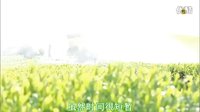 《结婚的女神）预告片(四)【中字】