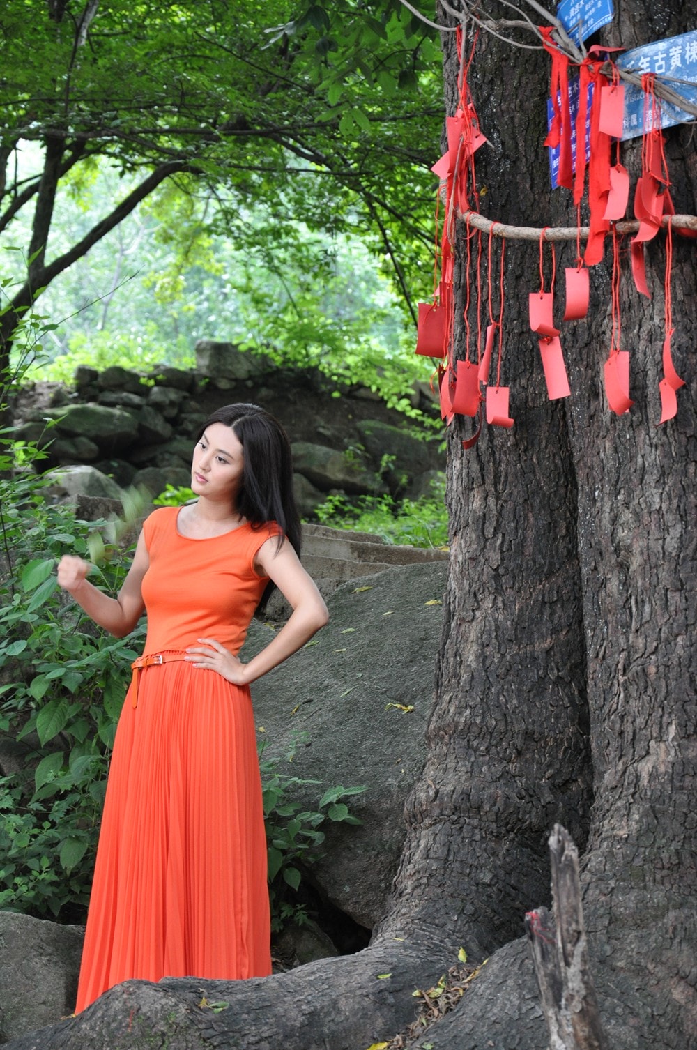 http://www.mshishang.net/pics/default/download/7b7625aee68b62f56f81ab07ace0b287.jpg