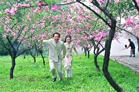 http://www.mshishang.net/pics/default/download/8320943e36e3270308ed5d5d9122435e.jpg